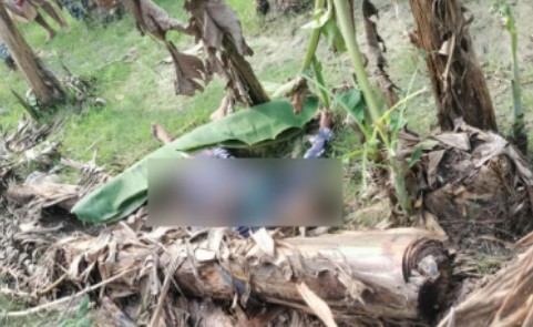 Screenshot_2025_0910_163545